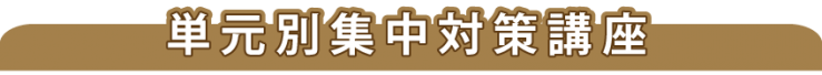 単元別集中対策講座 単元別集中対策講座