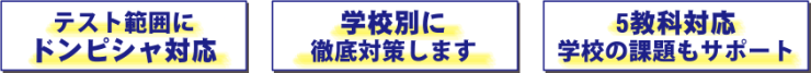テスト範囲にドンピシャ対応。学校別に徹底対策します。5教科対応学校の課題もサポート テスト範囲にドンピシャ対応。学校別に徹底対策します。5教科対応学校の課題もサポート