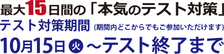 最大15日間の「本気のテスト対策」